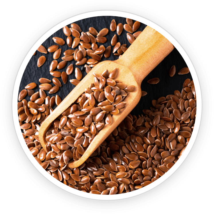 Flax Seed Powder- Pawbiotix Ingredient