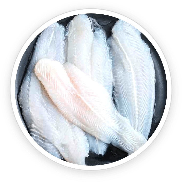 Hydrolyzed Fish Cod Collagen- Pawbiotix Ingredient